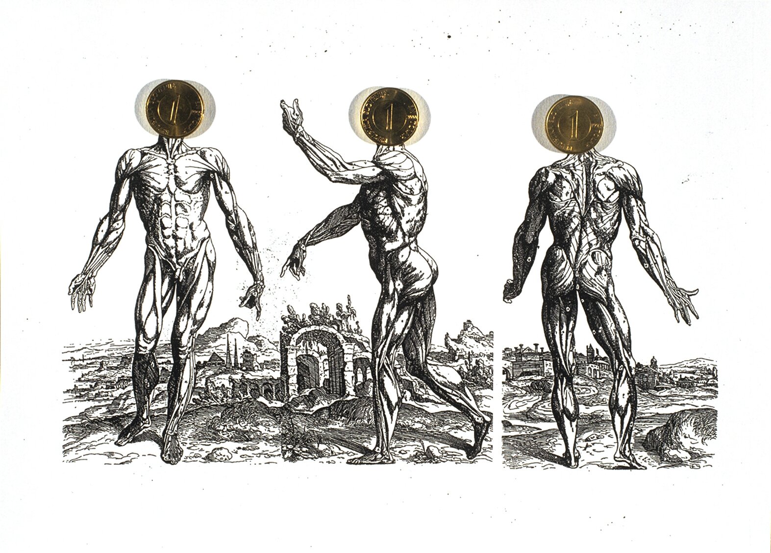 Anatomija denarja