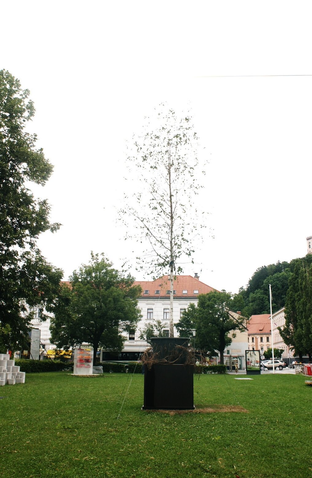 NARAVA NA PODSTAVKUNARAVA V OKVIRJU MESTO NARAVA KIP 2 1
