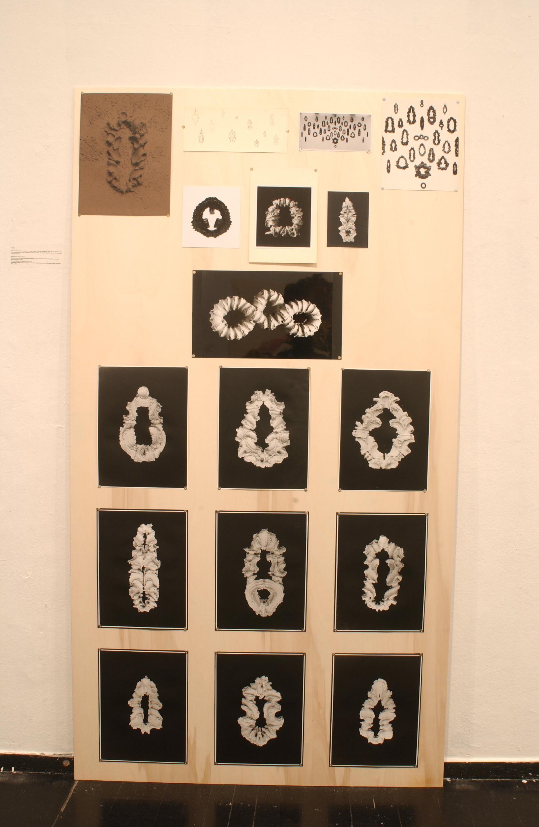 DSC 3313