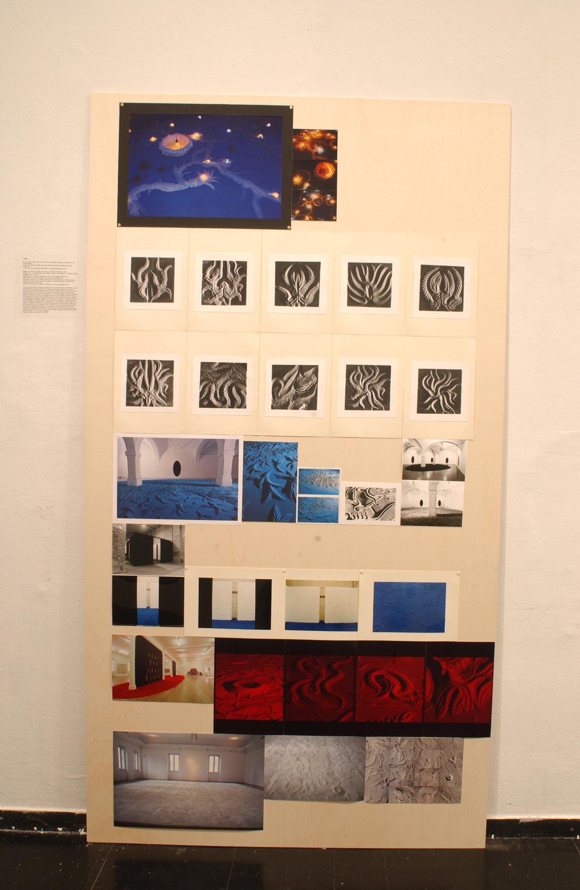 DSC 3316
